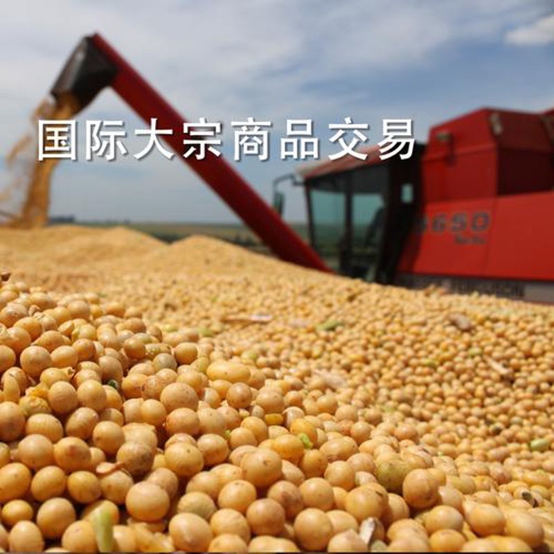 云端新气象：济南云曦贸易引领物流变革